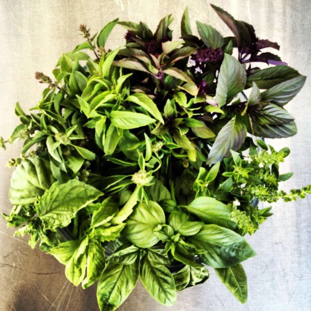 Four types of basil grown right here at the Fullerton Arboretum accompained tonight's menu! 